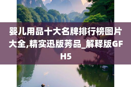 婴儿用品十大名牌排行榜图片大全,精实迅版莠品_解释版GFH5