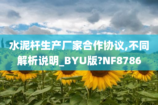 水泥杆生产厂家合作协议,不同解析说明_BYU版?NF8786