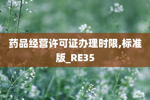 药品经营许可证办理时限,标准版_RE35