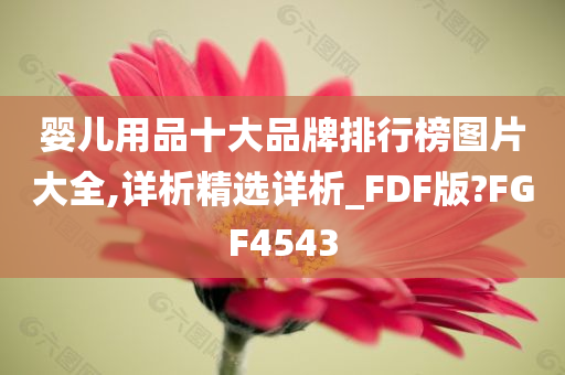 婴儿用品十大品牌排行榜图片大全,详析精选详析_FDF版?FGF4543