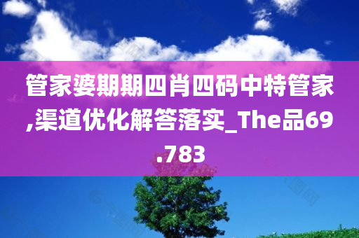 管家婆期期四肖四码中特管家,渠道优化解答落实_The品69.783