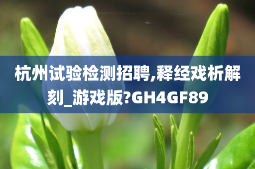 杭州试验检测招聘,释经戏析解刻_游戏版?GH4GF89