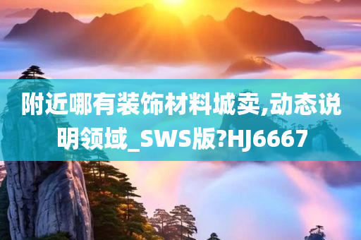 附近哪有装饰材料城卖,动态说明领域_SWS版?HJ6667