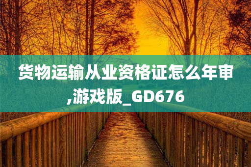 货物运输从业资格证怎么年审,游戏版_GD676