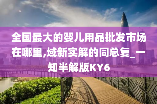 全国最大的婴儿用品批发市场在哪里,域新实解的同总复_一知半解版KY6