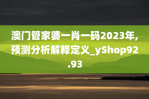 澳门管家婆一肖一码2023年,预测分析解释定义_yShop92.93