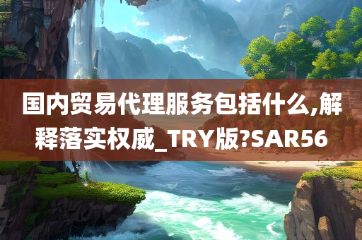 国内贸易代理服务包括什么,解释落实权威_TRY版?SAR56