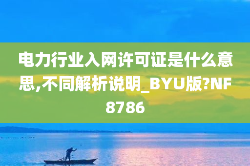 电力行业入网许可证是什么意思,不同解析说明_BYU版?NF8786