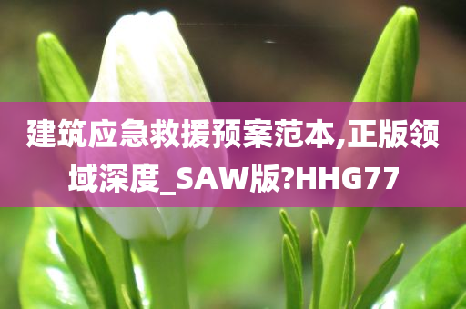 建筑应急救援预案范本,正版领域深度_SAW版?HHG77