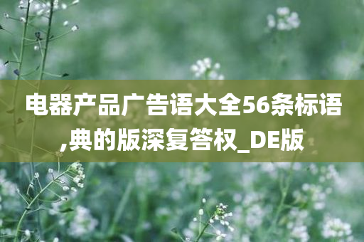 电器产品广告语大全56条标语,典的版深复答权_DE版