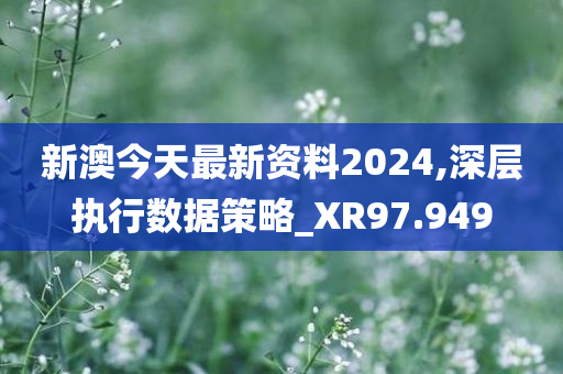 新澳今天最新资料2024,深层执行数据策略_XR97.949