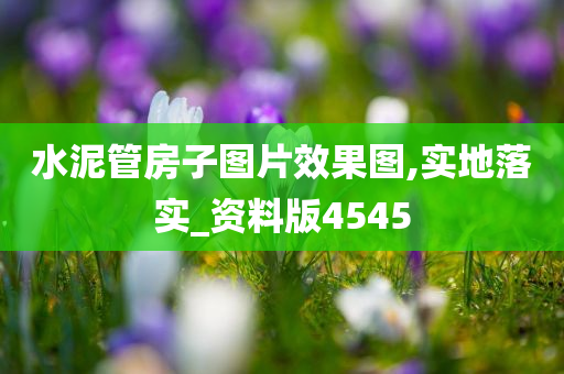 水泥管房子图片效果图,实地落实_资料版4545