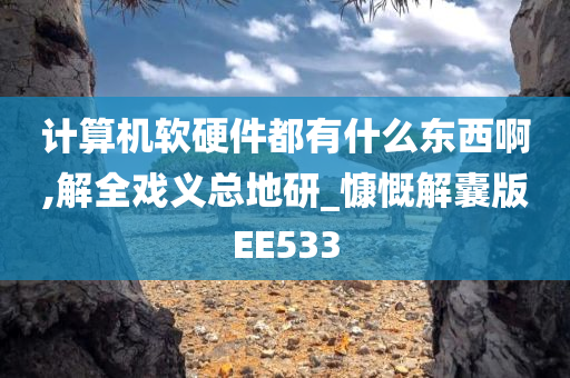 计算机软硬件都有什么东西啊,解全戏义总地研_慷慨解囊版EE533