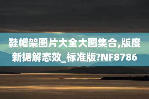 鞋帽架图片大全大图集合,版度新据解态效_标准版?NF8786