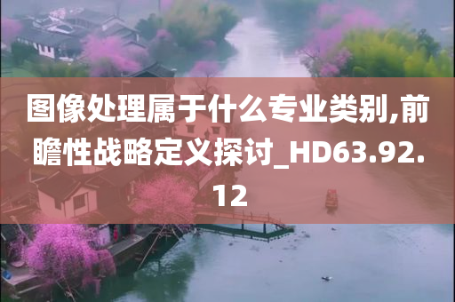 图像处理属于什么专业类别,前瞻性战略定义探讨_HD63.92.12