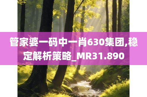 管家婆一码中一肖630集团,稳定解析策略_MR31.890