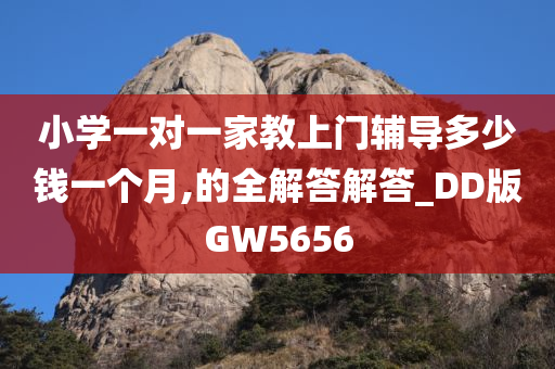 小学一对一家教上门辅导多少钱一个月,的全解答解答_DD版GW5656