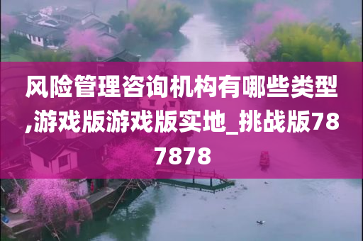 风险管理咨询机构有哪些类型,游戏版游戏版实地_挑战版787878