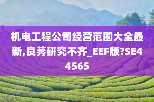 机电工程公司经营范围大全最新,良莠研究不齐_EEF版?SE44565