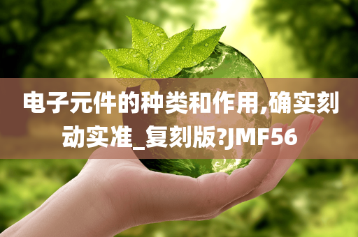 电子元件的种类和作用,确实刻动实准_复刻版?JMF56