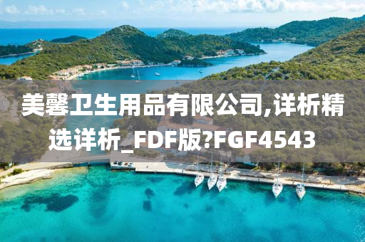 美馨卫生用品有限公司,详析精选详析_FDF版?FGF4543