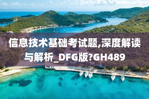 信息技术基础考试题,深度解读与解析_DFG版?GH489