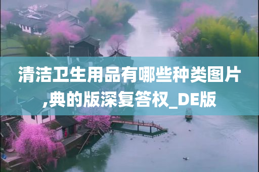 清洁卫生用品有哪些种类图片,典的版深复答权_DE版