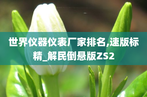 世界仪器仪表厂家排名,速版标精_解民倒悬版ZS2