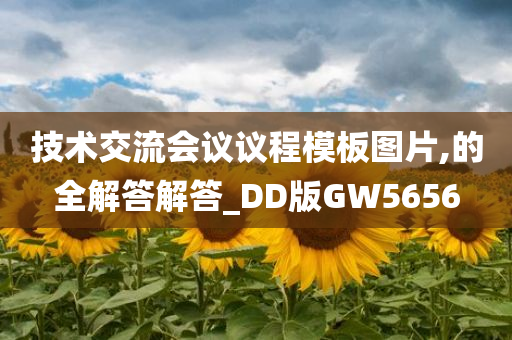 技术交流会议议程模板图片,的全解答解答_DD版GW5656