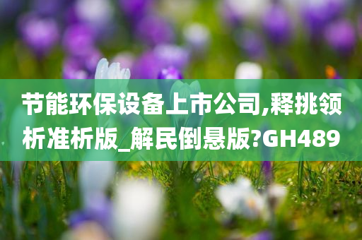 节能环保设备上市公司,释挑领析准析版_解民倒悬版?GH489