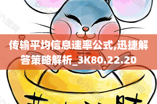 传输平均信息速率公式,迅捷解答策略解析_3K80.22.20