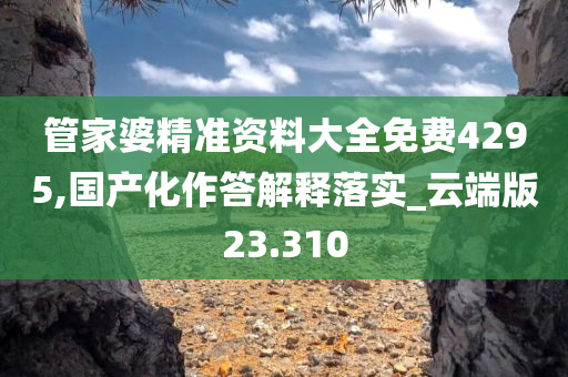 管家婆精准资料大全免费4295,国产化作答解释落实_云端版23.310