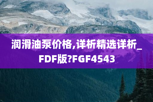 润滑油泵价格,详析精选详析_FDF版?FGF4543