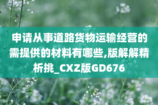 申请从事道路货物运输经营的需提供的材料有哪些,版解解精析挑_CXZ版GD676