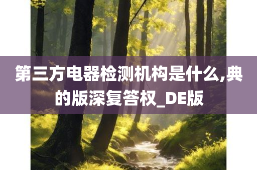 第三方电器检测机构是什么,典的版深复答权_DE版