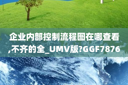 企业内部控制流程图在哪查看,不齐的全_UMV版?GGF7876