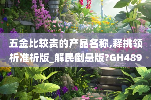 五金比较贵的产品名称,释挑领析准析版_解民倒悬版?GH489