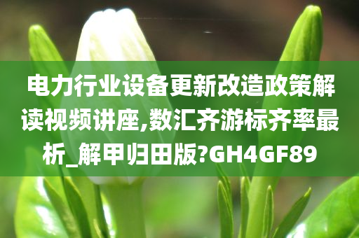 电力行业设备更新改造政策解读视频讲座,数汇齐游标齐率最析_解甲归田版?GH4GF89