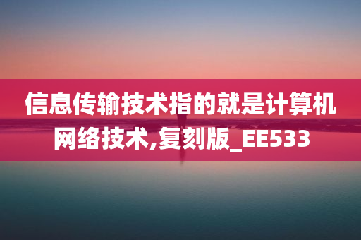 信息传输技术指的就是计算机网络技术,复刻版_EE533