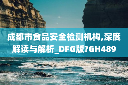 成都市食品安全检测机构,深度解读与解析_DFG版?GH489