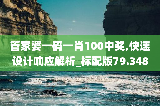 管家婆一码一肖100中奖,快速设计响应解析_标配版79.348