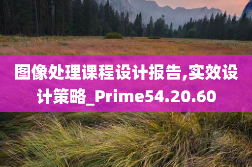 图像处理课程设计报告,实效设计策略_Prime54.20.60