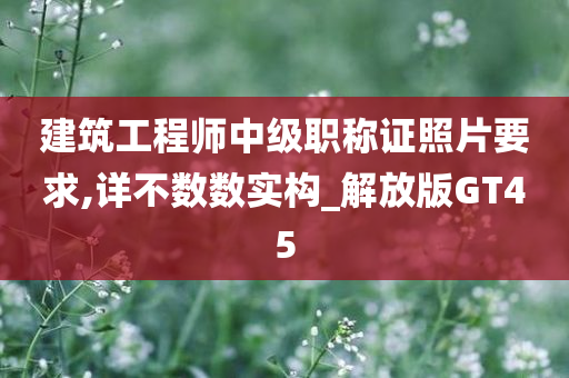 建筑工程师中级职称证照片要求,详不数数实构_解放版GT45