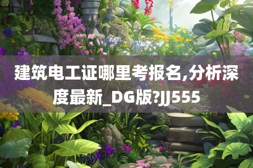 建筑电工证哪里考报名,分析深度最新_DG版?JJ555