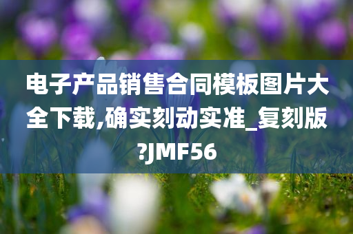 电子产品销售合同模板图片大全下载,确实刻动实准_复刻版?JMF56