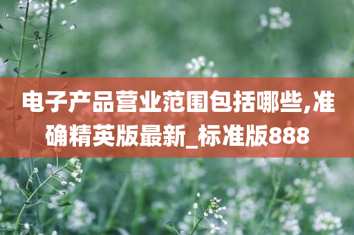 电子产品营业范围包括哪些,准确精英版最新_标准版888