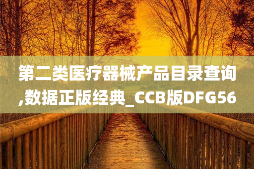 第二类医疗器械产品目录查询,数据正版经典_CCB版DFG56