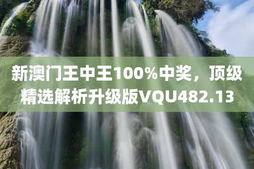 新澳门王中王100%中奖，顶级精选解析升级版VQU482.13