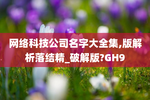 网络科技公司名字大全集,版解析落结精_破解版?GH9