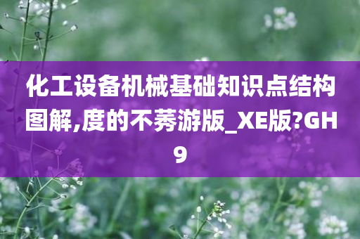 化工设备机械基础知识点结构图解,度的不莠游版_XE版?GH9